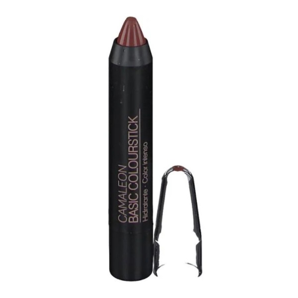 camaleonbasiccolourstickterra